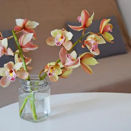 Apartmento Principe Real * Lisbon